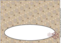 Snowflakes Insert for Large Dl 4
