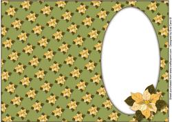 Cream Poinsettia Insert (olive)