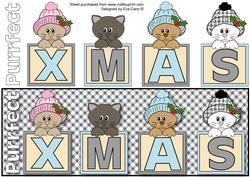 Purrfect Xmas Large Dl 2