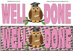 Graduation Owl Large Dl (pink)