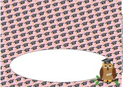 Graduation Owl Insert for Large Dl (pink)