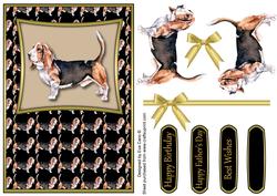 Basset Hound