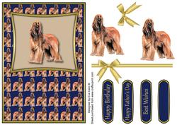 Afghan Hound (blue)