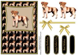 Jack Russell