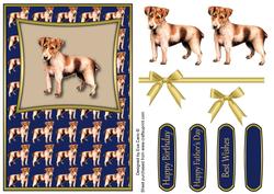 Jack Russell (blue)