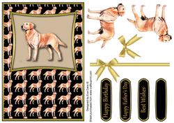 Labrador Retriever
