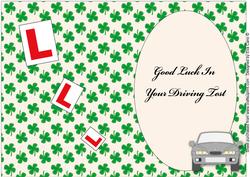 Good Luck Driving Test Insert (grey)