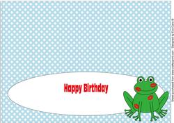 Kiss the Frog Large Dl Insert Birthday