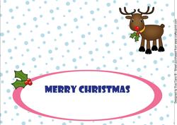 Rudolf the Red Nose Reindeer Large Dl Insert 1