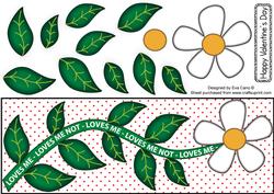 Loves Me, Loves Me Not Large Dl 2