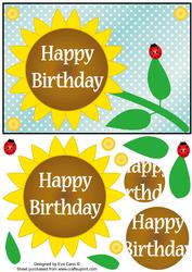 Flower and Ladybird for Birthdays
