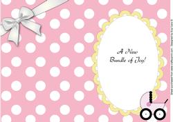 New Baby Girl Insert 3