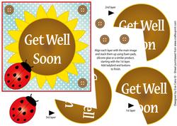 Flower and Ladybird Get Well Topper