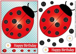 Buttons Ladybird Birthday