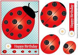 Buttons Ladybird Birthday