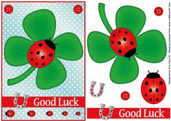 Good Luck Ladybird