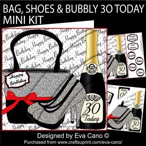 Bag Shoes and Bubbly 30 Today Mini Kit