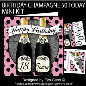 Birthday Champagne 18 Today 8x8 Mini Kit