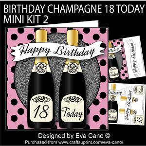 Birthday Champagne 18 Today Mini Kit 2