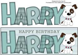 Patch the Dog Harry Large Dl