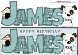 Patch the Dog James Large Dl