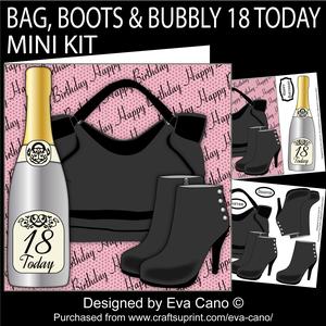 Bag, Boots & Bubbly 18 Today Mini Kit