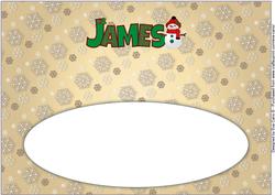Cute Snowman James Large Dl Insert