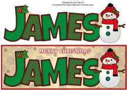 Cute Snowman James Large Dl