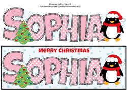 Eddie the Penguin Sophia Large Dl