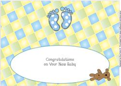 New Baby Feet Large Dl Insert