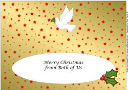 Christmas Dove Large Dl Insert (gold)