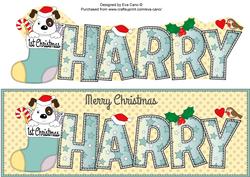 Patch 1st Xmas Harry Large Dl