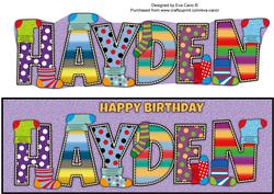 Socks Hayden Large Dl