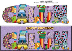 Socks Calum Large Dl