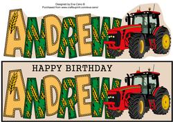 Country Life Andrew Large Dl