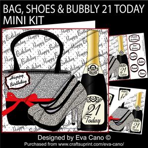 Bag, Shoes and Bubbly 21 Today Mini Kit