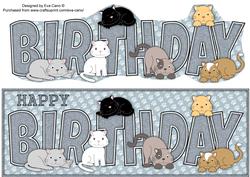 Cats Birthday Large Dl