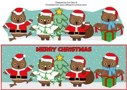 Christmas Owls Large Dl