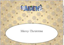 Cute Snowman Aiden Large Dl Insert