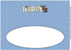 Rudolf the Red Nose Reindeer Harry Large Dl Insert