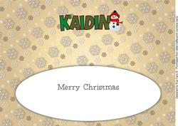 Cute Snowman Kaidin Large Dl Insert