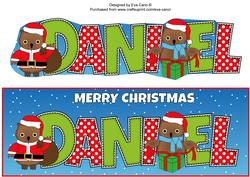 Christmas Owls Daniel Large Dl