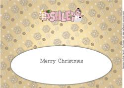 Cute Snowman Ashley Large Dl Insert