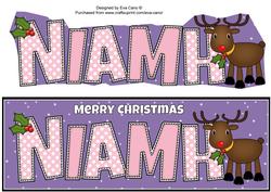 Rudolf the Red Nose Reindeer Niamh Large Dl