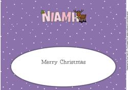 Rudolf the Red Nose Reindeer Niamh Large Dl Insert