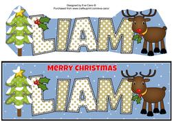 Rudolf the Red Nose Reindeer Liam Large Dl
