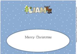 Rudolf the Red Nose Reindeer Liam Large Dl Insert