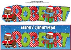 Christmas Owls Robert Large Dl