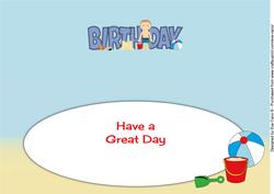 Beach Boy Birthday Large Dl Insert