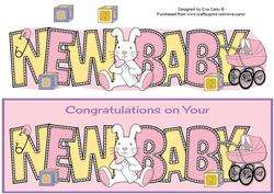 Cute Bunny and Pink Pram New Baby Large Dl